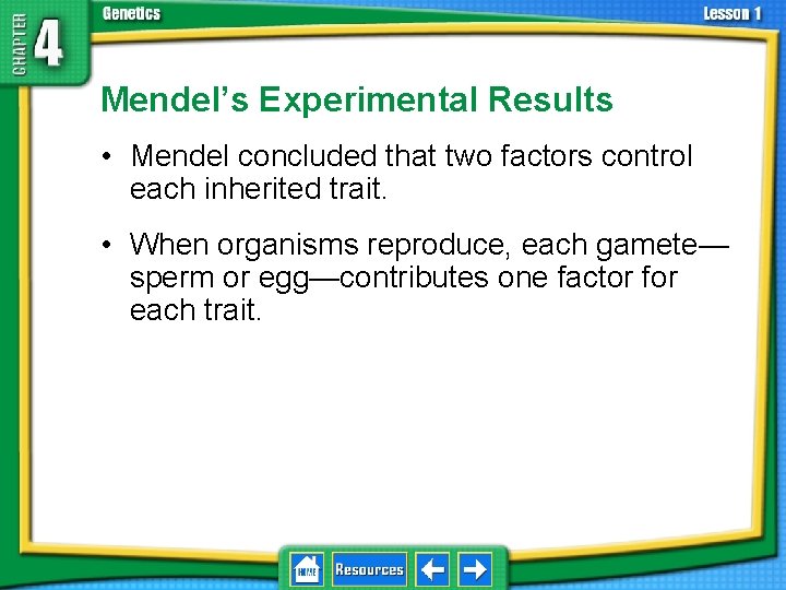 4. 1 Foundations of Genetics Mendel’s Experimental Results • Mendel concluded that two factors