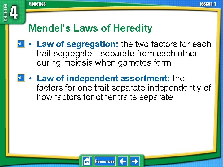 4. 1 Foundations of Genetics Mendel’s Laws of Heredity • Law of segregation: the