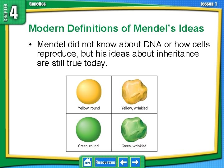 4. 1 Foundations of Genetics Modern Definitions of Mendel’s Ideas • Mendel did not