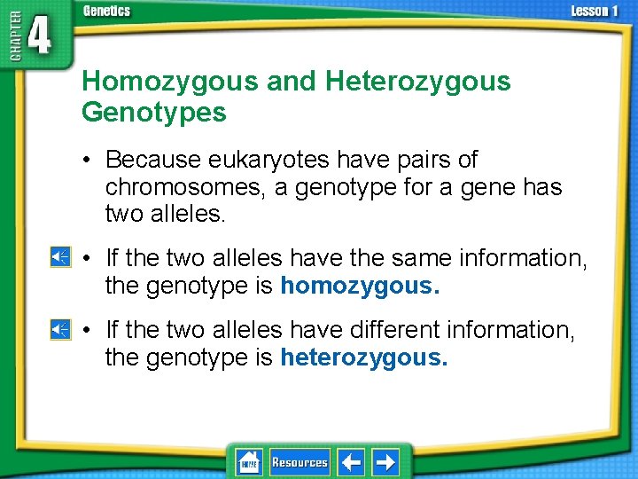 4. 1 Foundations of Genetics Homozygous and Heterozygous Genotypes • Because eukaryotes have pairs