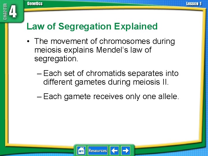 4. 1 Foundations of Genetics Law of Segregation Explained • The movement of chromosomes