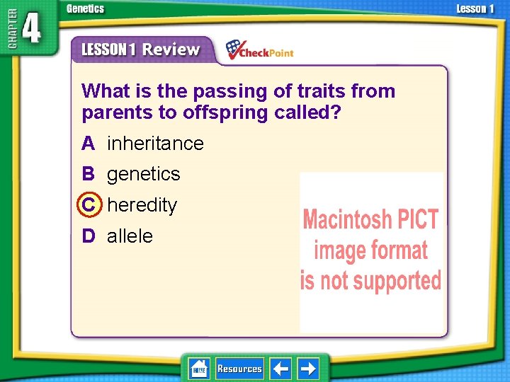4. 1 Foundations of Genetics 1. 2. 3. 4. A B C D What