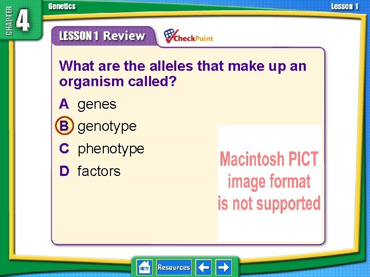 4. 1 Foundations of Genetics 1. 2. 3. 4. A B C D What