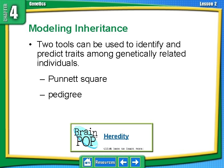 4. 2 Understanding Inheritance Modeling Inheritance • Two tools can be used to identify