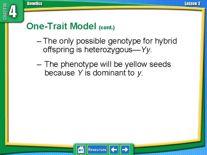 4. 2 Understanding Inheritance One-Trait Model (cont. ) – The only possible genotype for