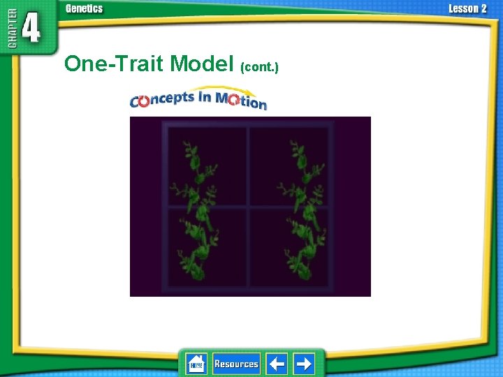 4. 2 Understanding Inheritance One-Trait Model (cont. ) 