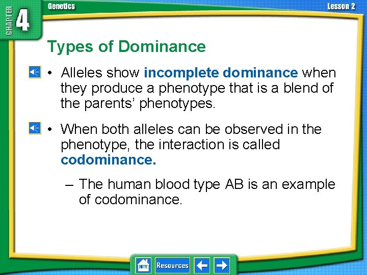 4. 2 Understanding Inheritance Types of Dominance • Alleles show incomplete dominance when they