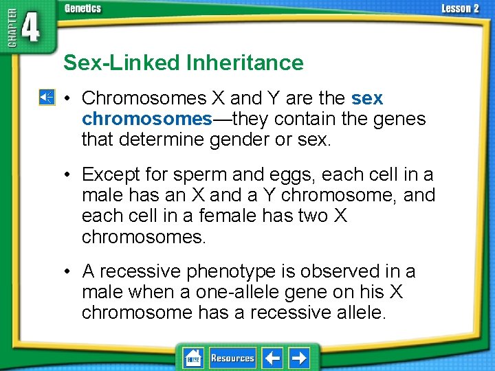 4. 2 Understanding Inheritance Sex-Linked Inheritance • Chromosomes X and Y are the sex