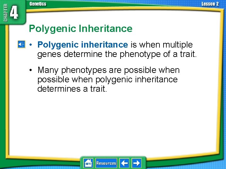 4. 2 Understanding Inheritance Polygenic Inheritance • Polygenic inheritance is when multiple genes determine