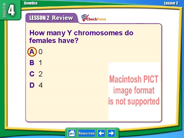 4. 2 Understanding Inheritance 1. 2. 3. 4. A B C D How many