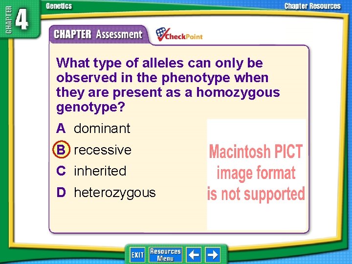 1. 2. 3. 4. A B C D What type of alleles can only