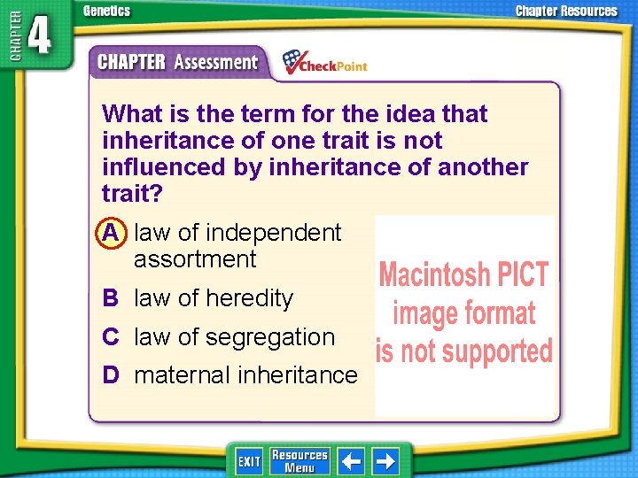 1. 2. 3. 4. A B C D What is the term for the