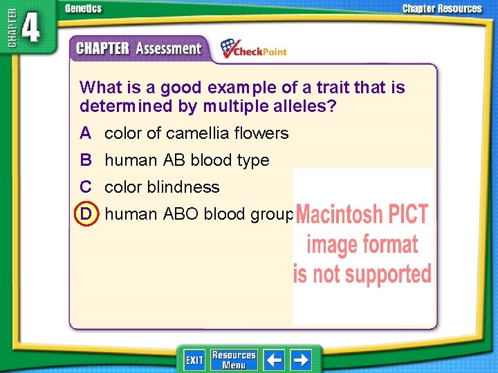 1. 2. 3. 4. A B C D What is a good example of