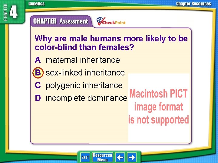 1. 2. 3. 4. A B C D Why are male humans more likely