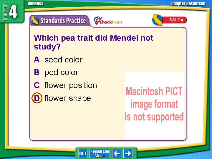 SCI 2. c 1. 2. 3. 4. A B C D Which pea trait