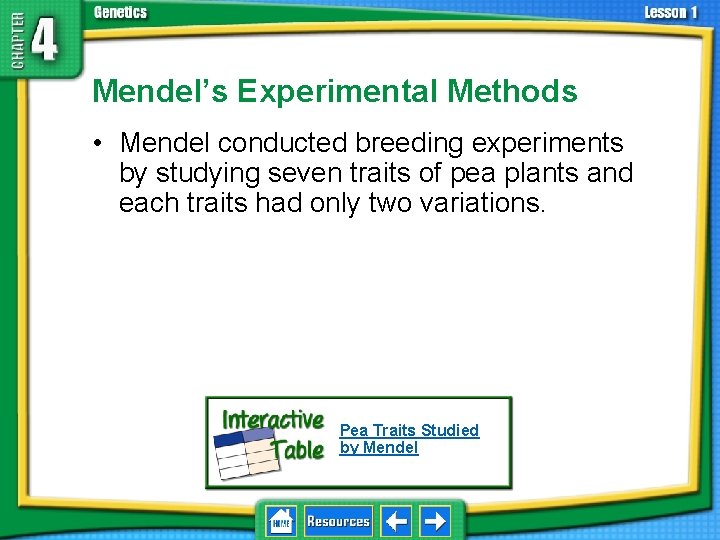 4. 1 Foundations of Genetics Mendel’s Experimental Methods • Mendel conducted breeding experiments by