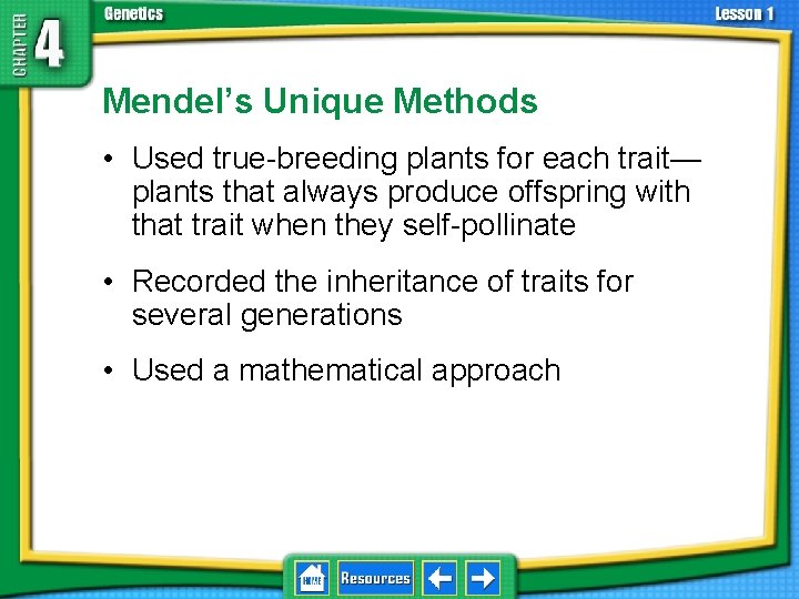 4. 1 Foundations of Genetics Mendel’s Unique Methods • Used true-breeding plants for each