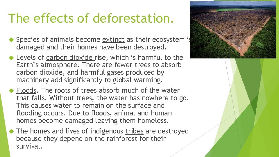 The effects of deforestation. Species of animals become extinct as their ecosystem is damaged