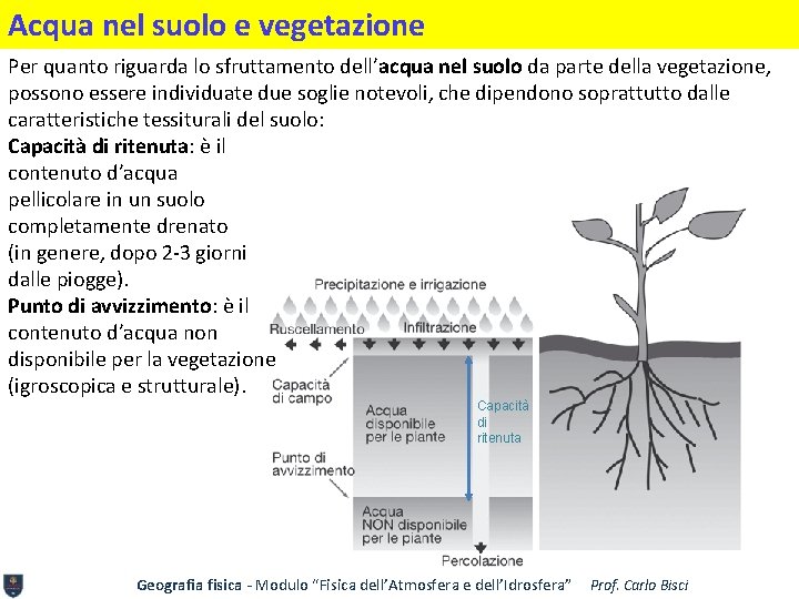 Acqua nel suolo e vegetazione Per quanto riguarda lo sfruttamento dell’acqua nel suolo da