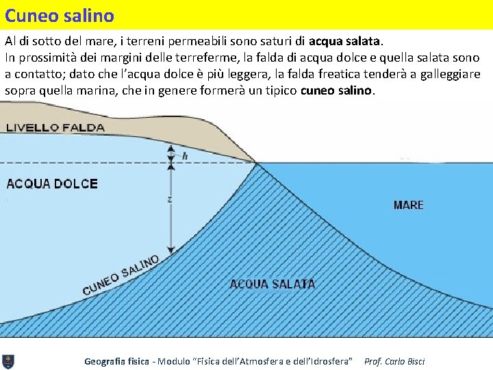 Cuneo salino Al di sotto del mare, i terreni permeabili sono saturi di acqua