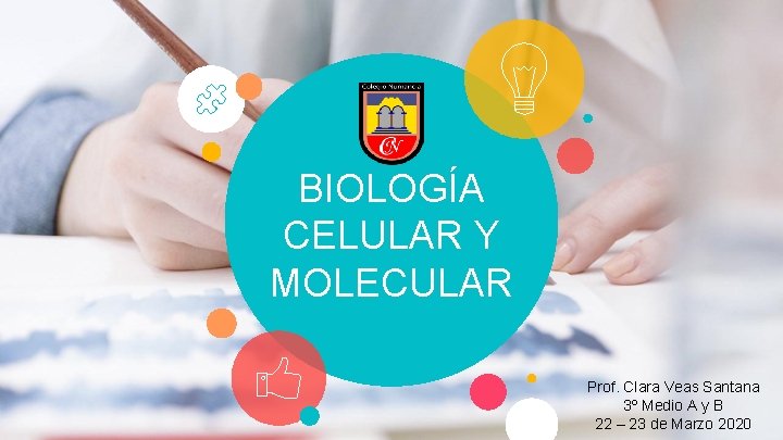 BIOLOGÍA CELULAR Y MOLECULAR Prof. Clara Veas Santana 3º Medio A y B 22