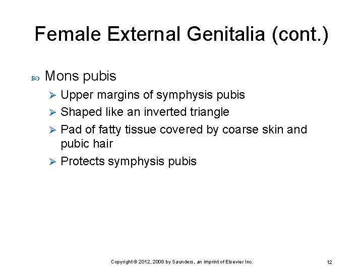 Female External Genitalia (cont. ) Mons pubis Upper margins of symphysis pubis Ø Shaped