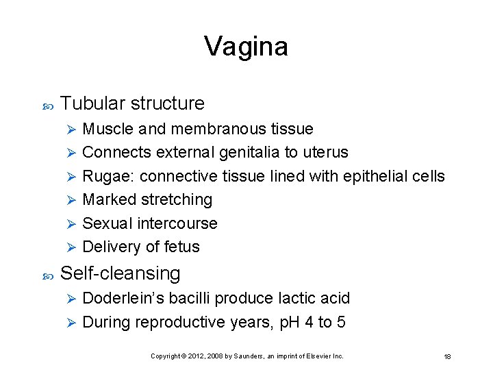 Vagina Tubular structure Muscle and membranous tissue Ø Connects external genitalia to uterus Ø