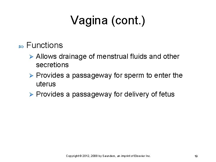 Vagina (cont. ) Functions Allows drainage of menstrual fluids and other secretions Ø Provides
