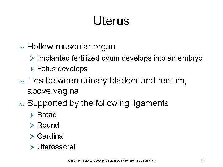 Uterus Hollow muscular organ Implanted fertilized ovum develops into an embryo Ø Fetus develops