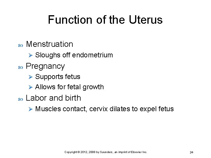 Function of the Uterus Menstruation Ø Sloughs off endometrium Pregnancy Supports fetus Ø Allows