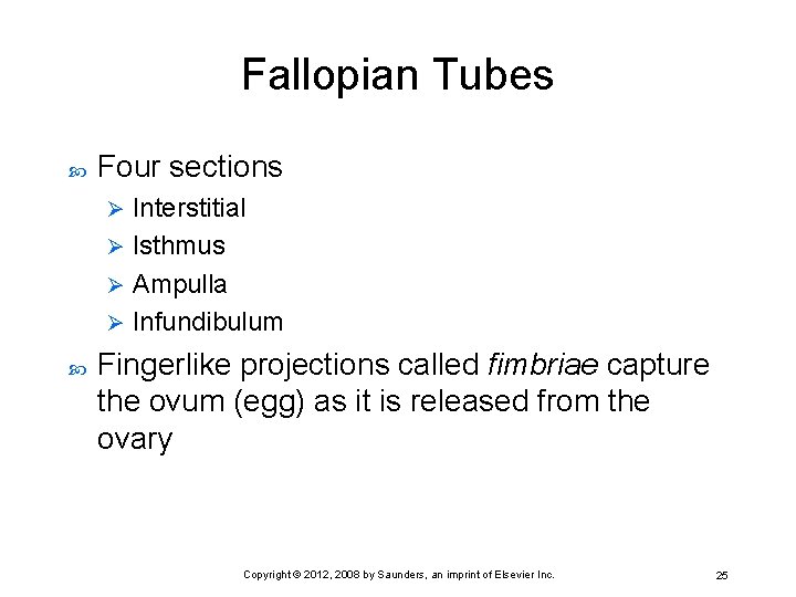 Fallopian Tubes Four sections Interstitial Ø Isthmus Ø Ampulla Ø Infundibulum Ø Fingerlike projections