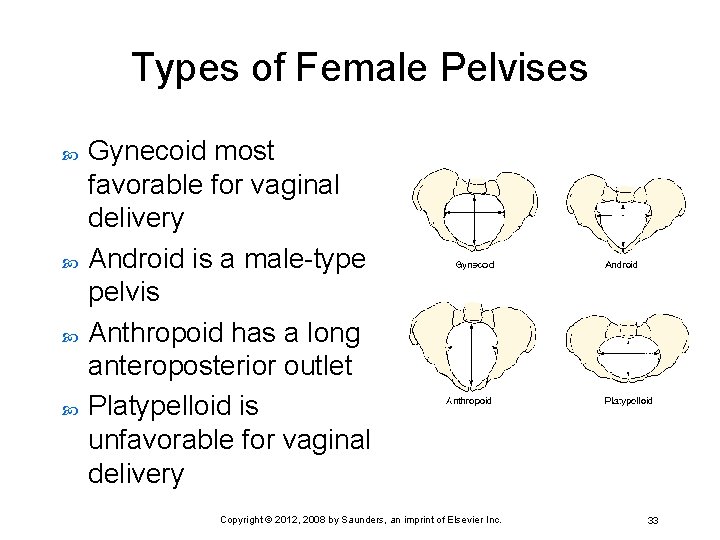 Types of Female Pelvises Gynecoid most favorable for vaginal delivery Android is a male-type