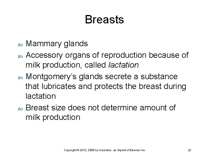 Breasts Mammary glands Accessory organs of reproduction because of milk production, called lactation Montgomery’s