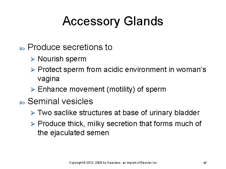 Accessory Glands Produce secretions to Nourish sperm Ø Protect sperm from acidic environment in