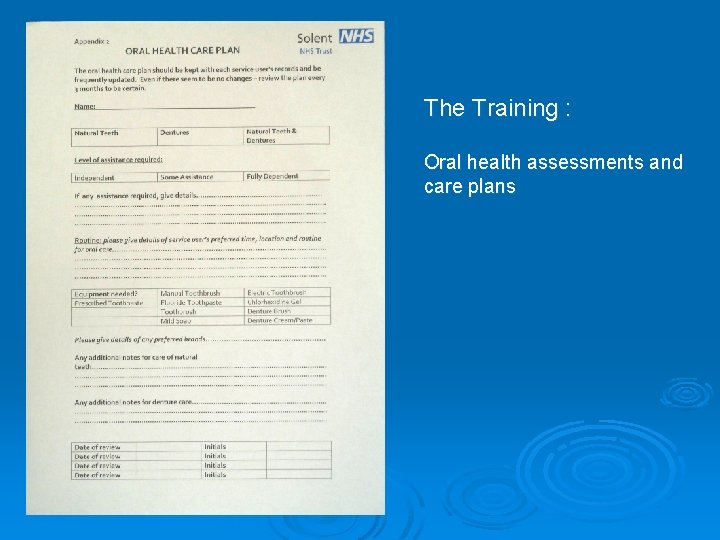 The Training : Oral health assessments and care plans 