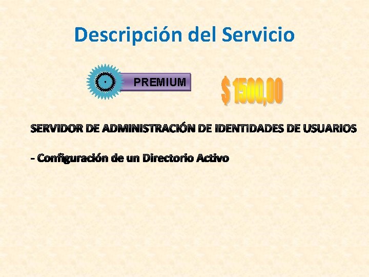 Descripción del Servicio PREMIUM SERVIDOR DE ADMINISTRACIÓN DE IDENTIDADES DE USUARIOS - Configuración de