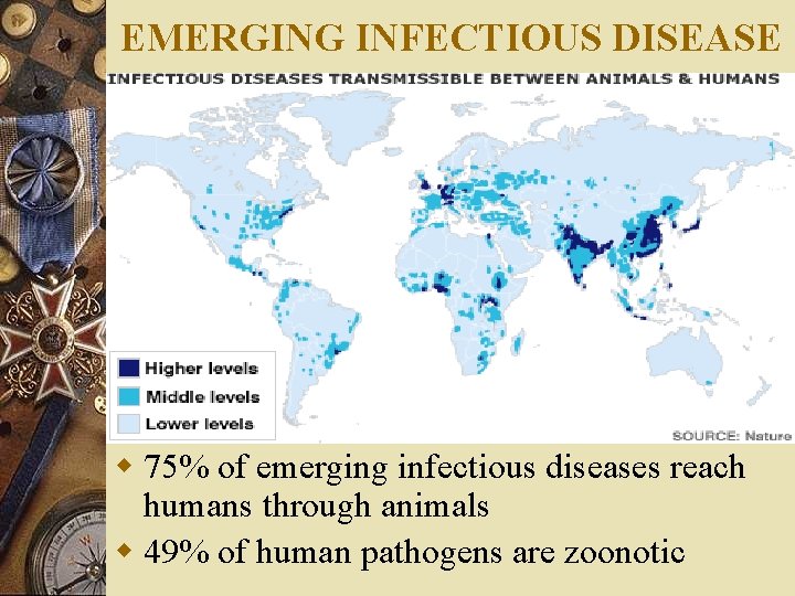 EMERGING INFECTIOUS DISEASE w 75% of emerging infectious diseases reach humans through animals w