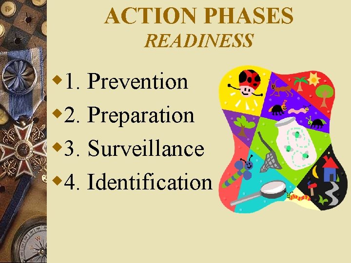 ACTION PHASES READINESS w 1. Prevention w 2. Preparation w 3. Surveillance w 4.