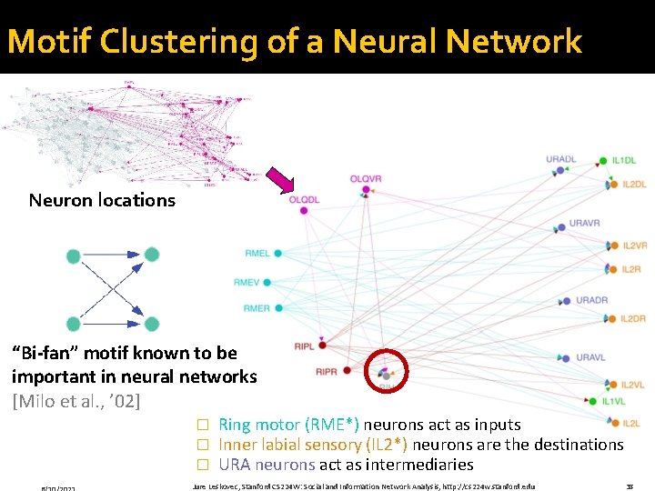Motif Clustering of a Neural Network Neuron locations “Bi-fan” motif known to be important