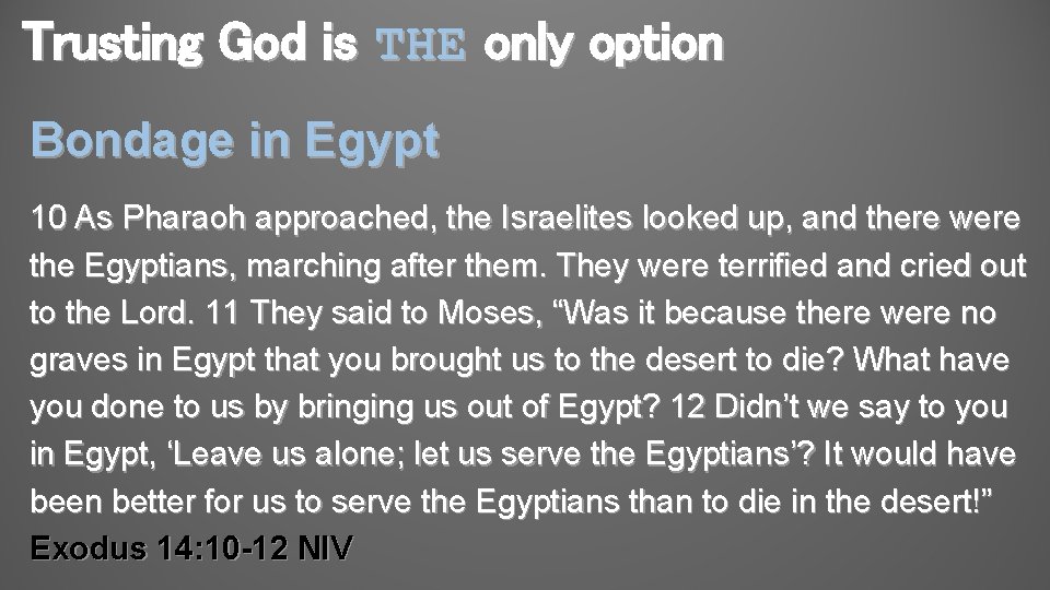 Trusting God is THE only option Bondage in Egypt 10 As Pharaoh approached, the