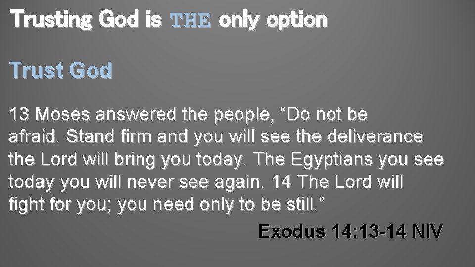Trusting God is THE only option Trust God 13 Moses answered the people, “Do