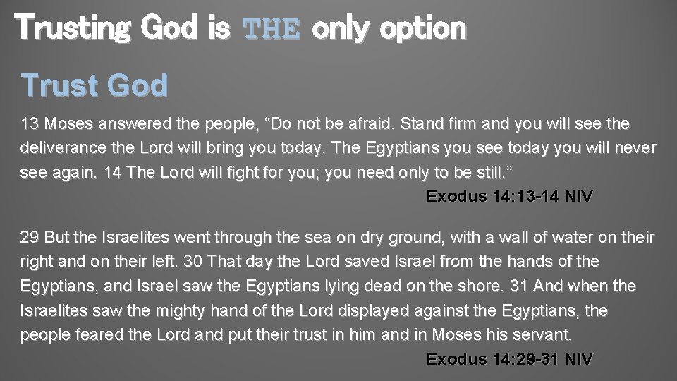 Trusting God is THE only option Trust God 13 Moses answered the people, “Do Trusting God is THE only option Trust God 13 Moses answered the people, “Do