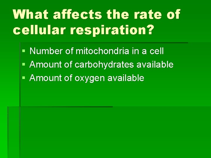 What affects the rate of cellular respiration? § § § Number of mitochondria in