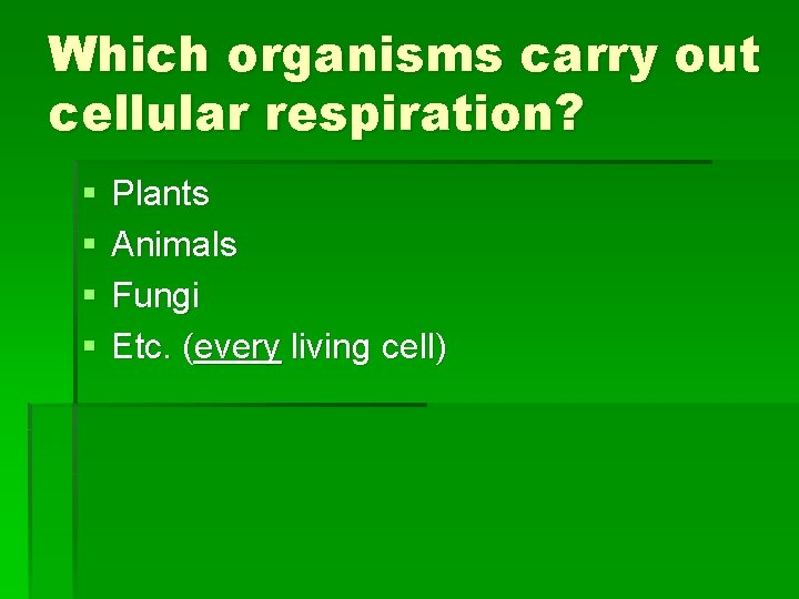 Which organisms carry out cellular respiration? § § Plants Animals Fungi Etc. (every living