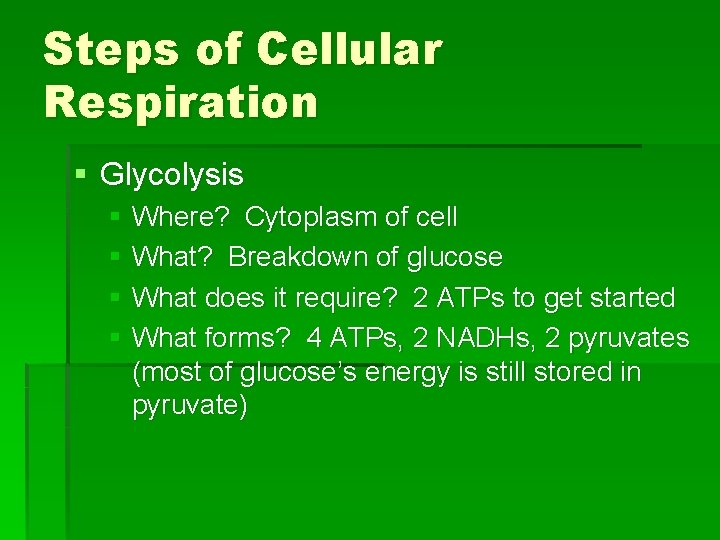 Steps of Cellular Respiration § Glycolysis § Where? Cytoplasm of cell § What? Breakdown