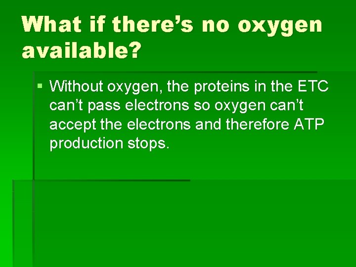What if there’s no oxygen available? § Without oxygen, the proteins in the ETC