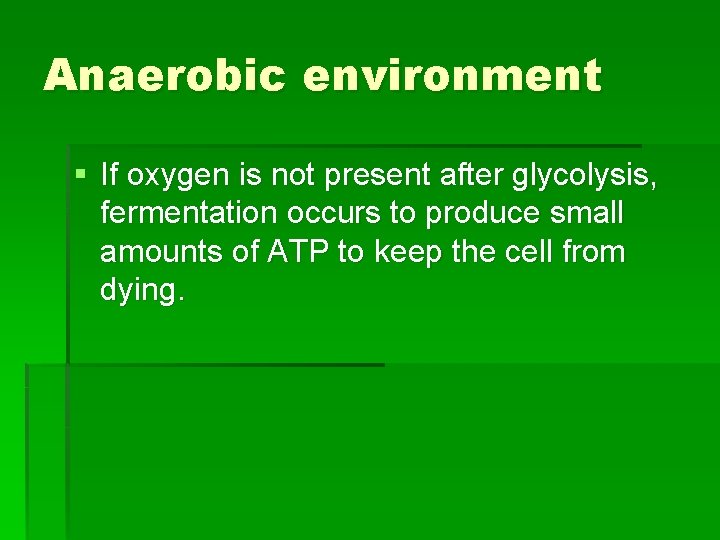 Anaerobic environment § If oxygen is not present after glycolysis, fermentation occurs to produce