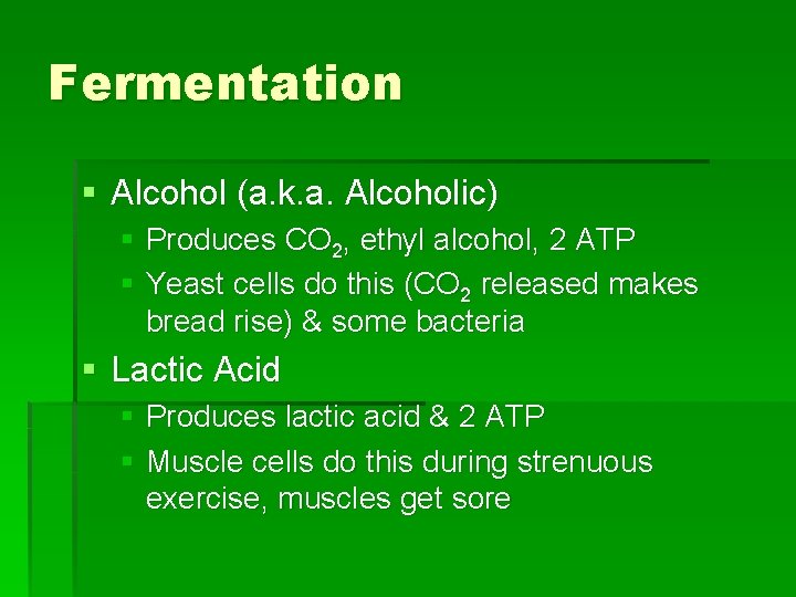 Fermentation § Alcohol (a. k. a. Alcoholic) § Produces CO 2, ethyl alcohol, 2