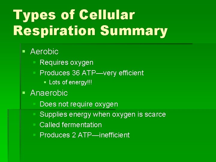Types of Cellular Respiration Summary § Aerobic § Requires oxygen § Produces 36 ATP—very