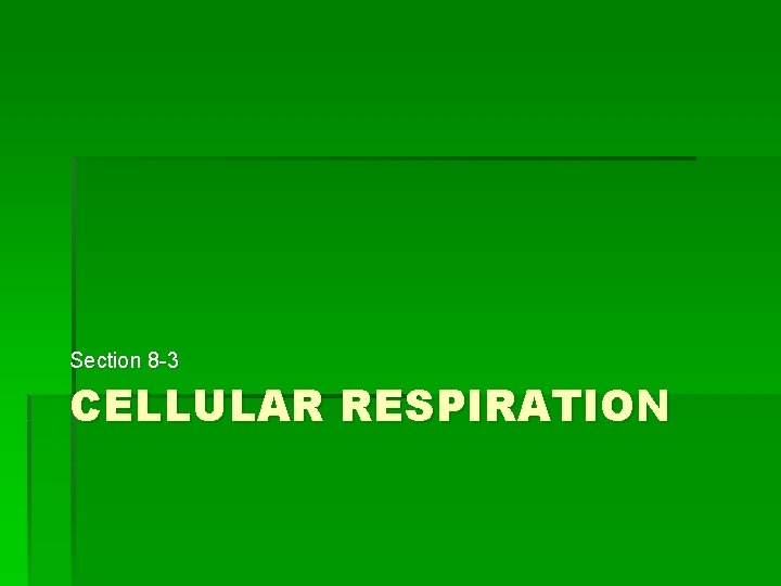 Section 8 -3 CELLULAR RESPIRATION 